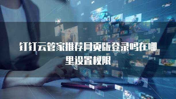 钉钉云管家推荐网页版登录吗在哪里设置权限