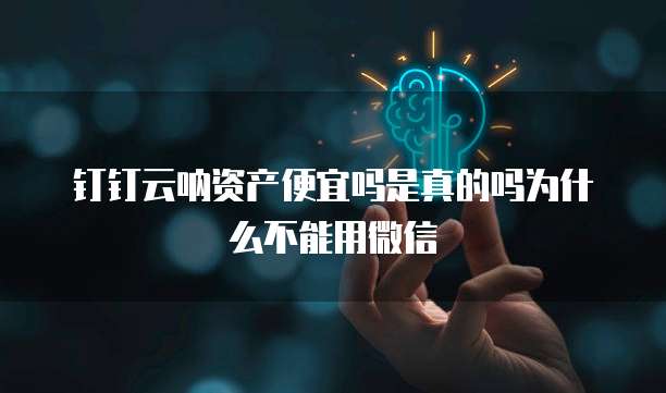 钉钉云呐资产便宜吗是真的吗为什么不能用微信