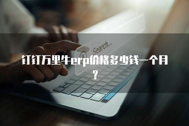 钉钉万里牛erp价格多少钱一个月?