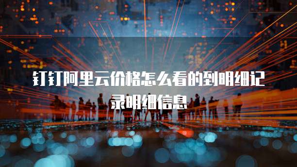 钉钉阿里云价格怎么看的到明细记录明细信息