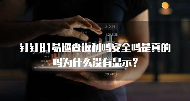 钉钉B1易巡查返利吗安全吗是真的吗为什么没有显示?