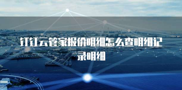 钉钉云管家报价明细怎么查明细记录明细