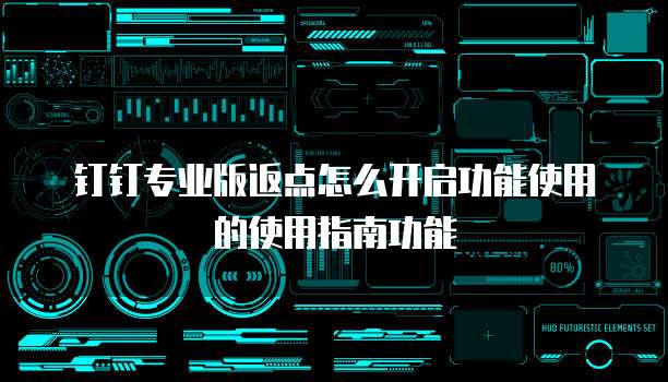 钉钉专业版返点怎么开启功能使用的使用指南功能
