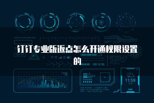 钉钉专业版返点怎么开通权限设置的