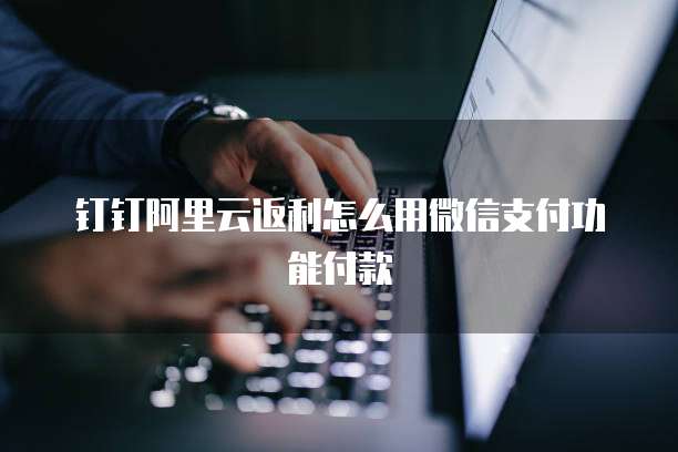 钉钉阿里云返利怎么用微信支付功能付款