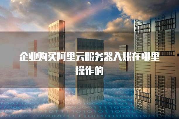 企业购买阿里云服务器入账在哪里操作的
