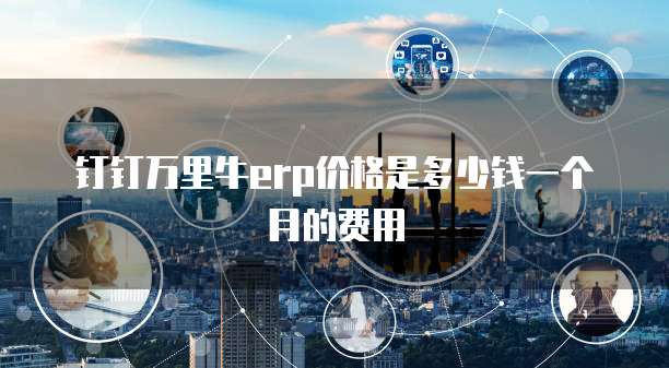 钉钉万里牛erp价格是多少钱一个月的费用