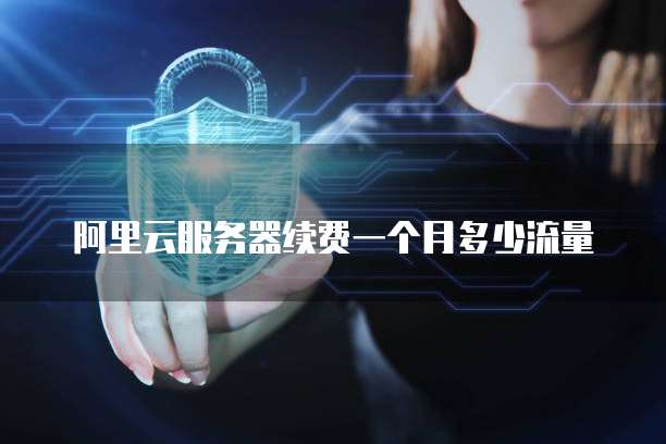 阿里云服务器续费一个月多少流量