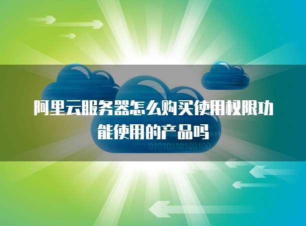 阿里云服务器怎么购买使用权限功能使用的产品吗