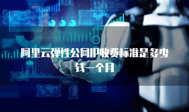 阿里云弹性公网IP收费标准是多少钱一个月
