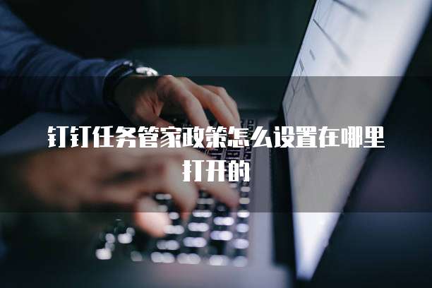 钉钉任务管家政策怎么设置在哪里打开的
