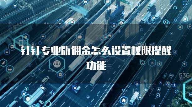 钉钉专业版佣金怎么设置权限提醒功能