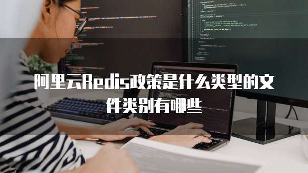 阿里云Redis政策是什么类型的文件类别有哪些