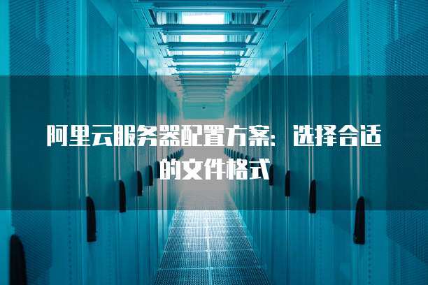 阿里云服务器配置方案:选择合适的文件格式
