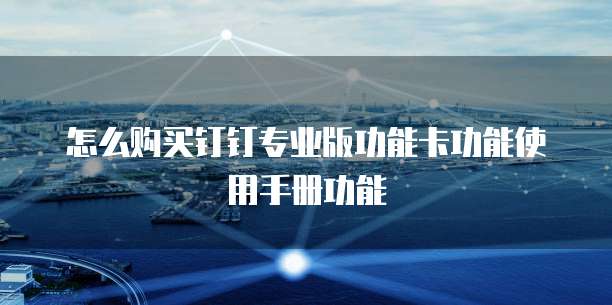 怎么购买钉钉专业版功能卡功能使用手册功能