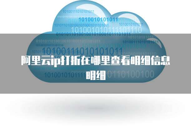 阿里云ip打折在哪里查看明细信息明细