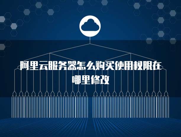 阿里云服务器怎么购买使用权限在哪里修改