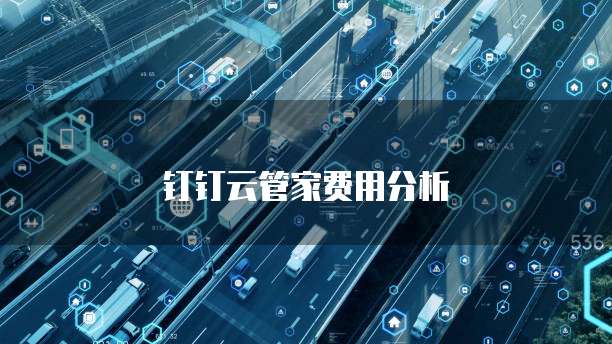 钉钉云管家费用分析