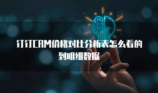钉钉CRM价格对比分析表怎么看的到明细数据