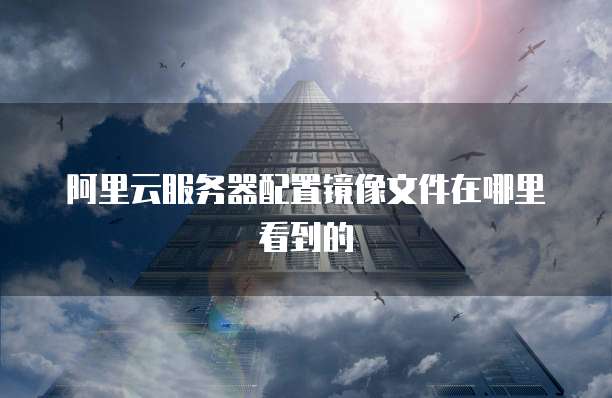 阿里云服务器配置镜像文件在哪里看到的