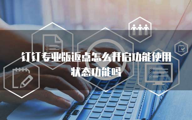 钉钉专业版返点怎么开启功能使用状态功能吗