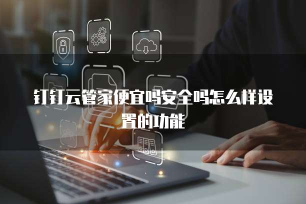 钉钉云管家便宜吗安全吗怎么样设置的功能