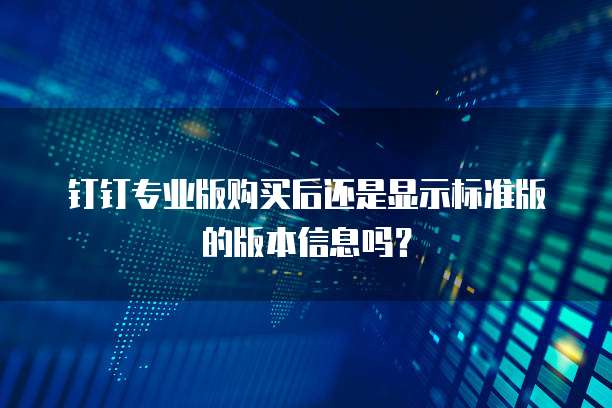 钉钉专业版购买后还是显示标准版的版本信息吗？