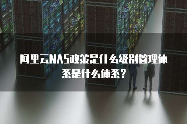 阿里云NAS政策是什么级别管理体系是什么体系？