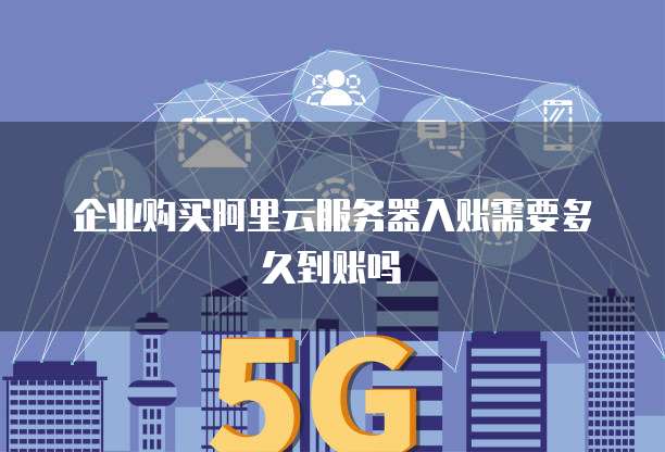 企业购买阿里云服务器入账需要多久到账吗