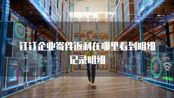 钉钉企业寄件返利在哪里看到明细记录明细