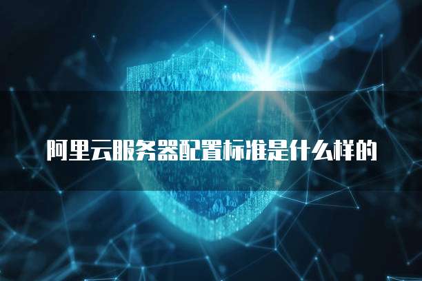 阿里云服务器配置标准是什么样的