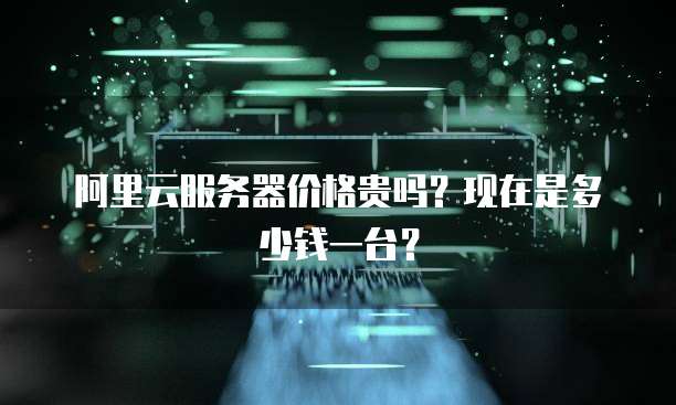 阿里云服务器价格贵吗?现在是多少钱一台?