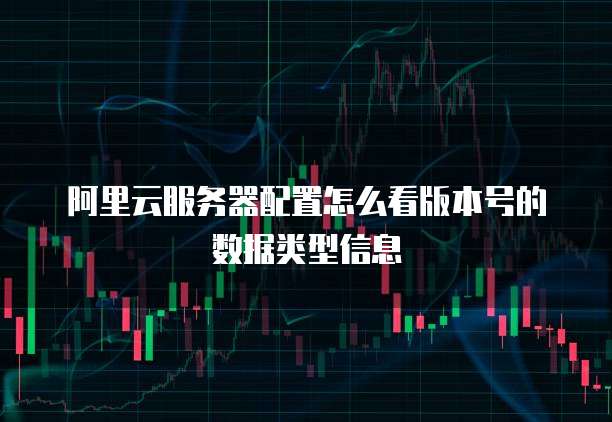 阿里云服务器配置怎么看版本号的数据类型信息