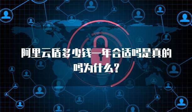 阿里云盾多少钱一年合适吗是真的吗为什么?