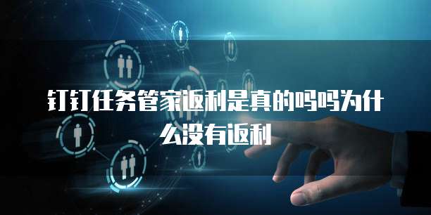 钉钉任务管家返利是真的吗吗为什么没有返利