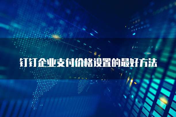 钉钉企业支付价格设置的最好方法