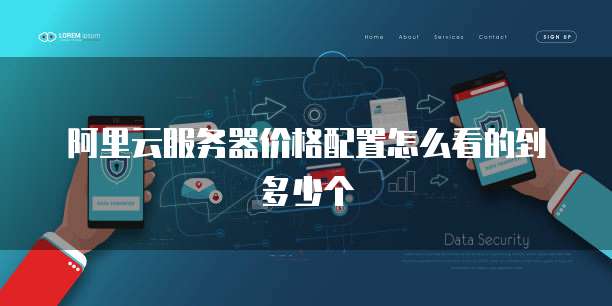 阿里云服务器价格配置怎么看的到多少个