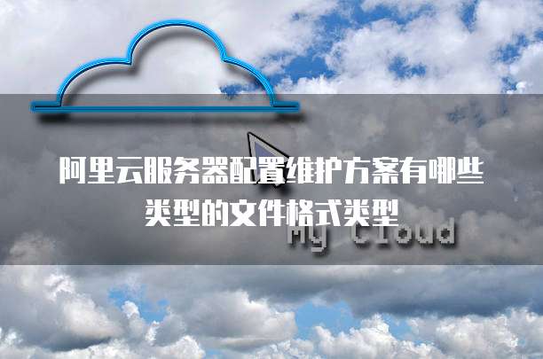 阿里云服务器配置维护方案有哪些类型的文件格式类型