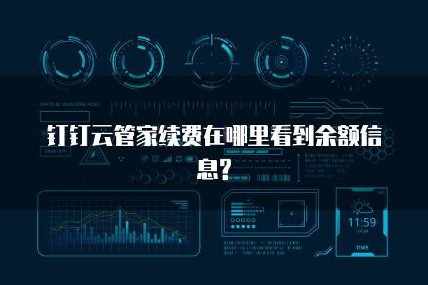 钉钉云管家续费在哪里看到余额信息?