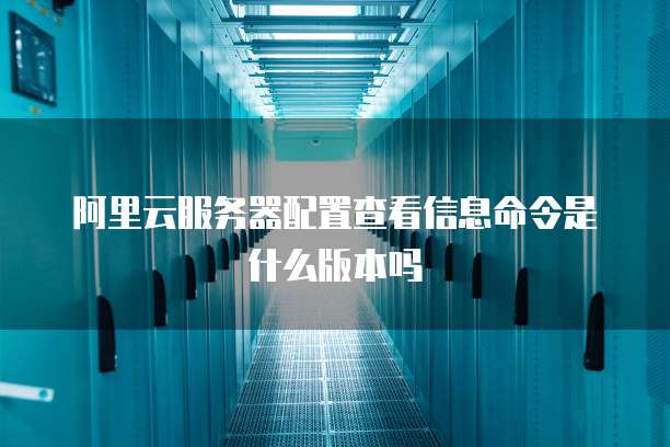 阿里云服务器配置查看信息命令是什么版本吗