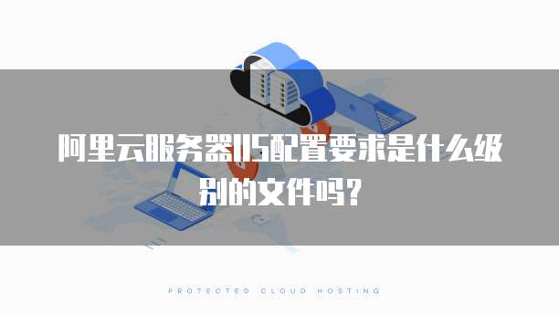 阿里云服务器IIS配置要求是什么级别的文件吗?