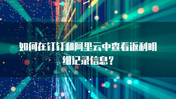 如何在钉钉和阿里云中查看返利明细记录信息?