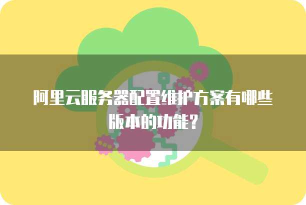 阿里云服务器配置维护方案有哪些版本的功能?