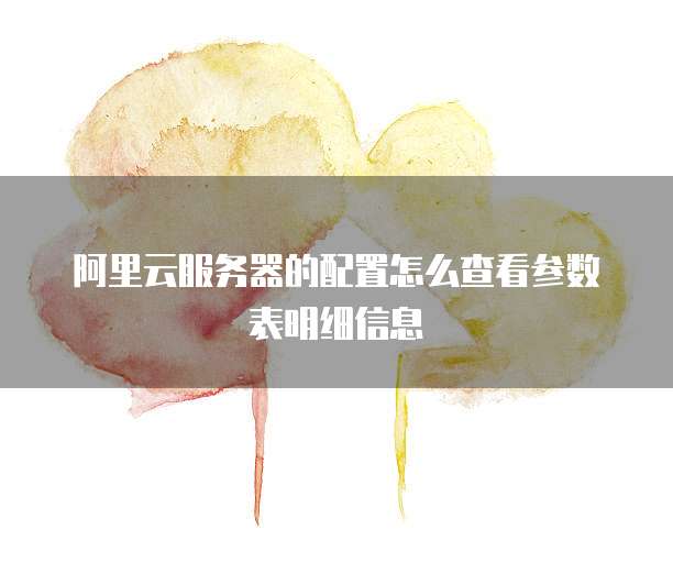 阿里云服务器的配置怎么查看参数表明细信息
