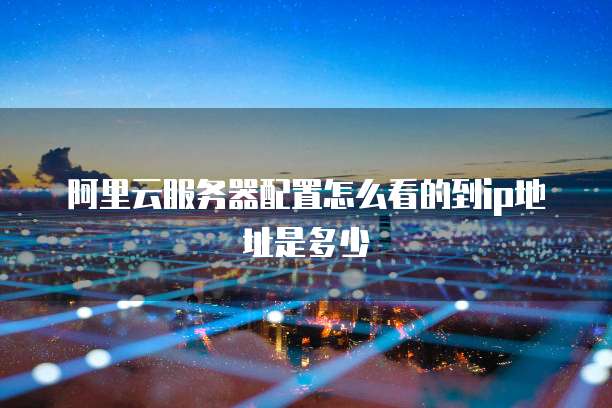 阿里云服务器配置怎么看的到ip地址是多少