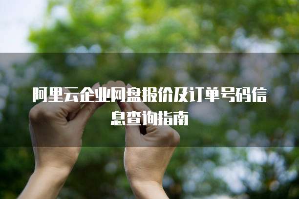阿里云企业网盘报价及订单号码信息查询指南