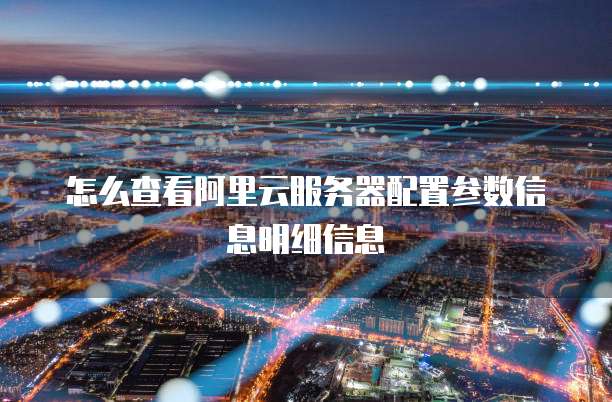 怎么查看阿里云服务器配置参数信息明细信息