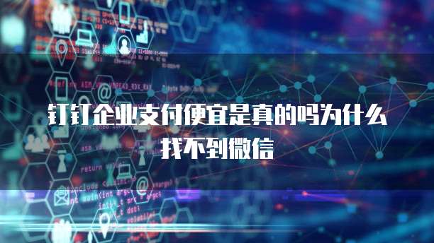 钉钉企业支付便宜是真的吗为什么找不到微信