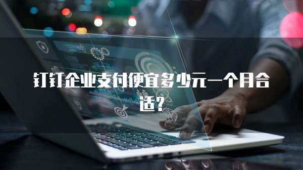 钉钉企业支付便宜多少元一个月合适?