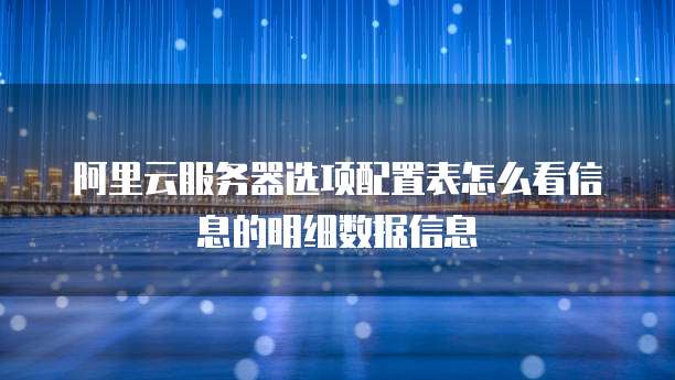 阿里云服务器选项配置表怎么看信息的明细数据信息